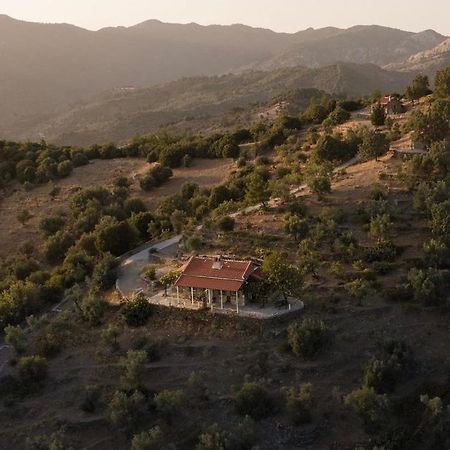 Toumba Eco Farm Guesthouses Plomari ภายนอก รูปภาพ