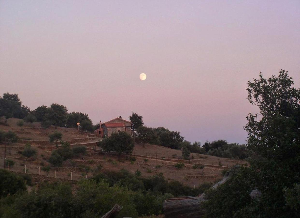 Toumba Eco Farm Guesthouses Plomari ภายนอก รูปภาพ