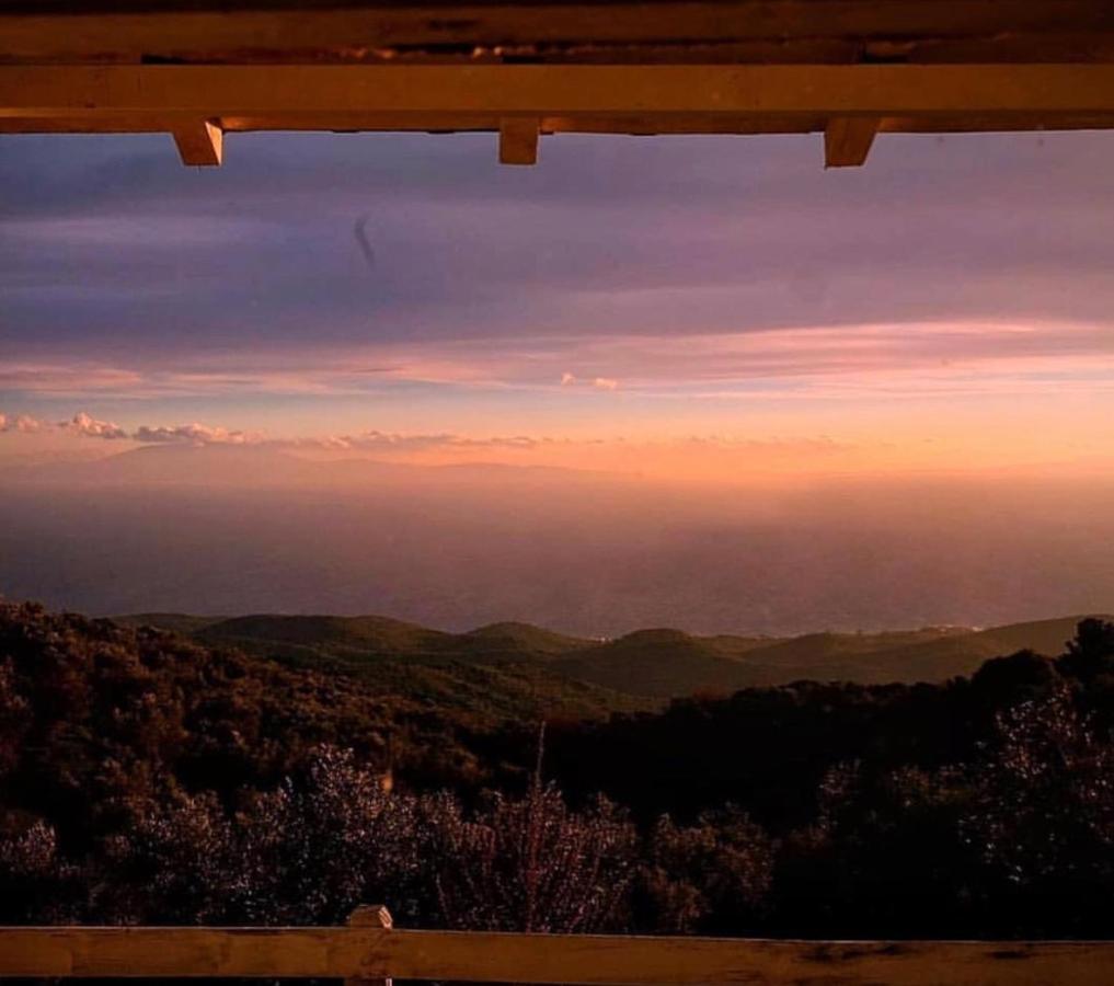 Toumba Eco Farm Guesthouses Plomari ภายนอก รูปภาพ