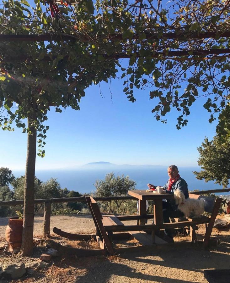 Toumba Eco Farm Guesthouses Plomari ภายนอก รูปภาพ