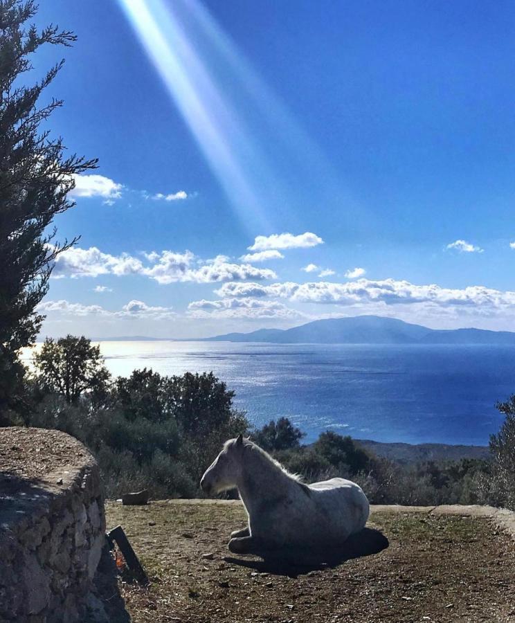 Toumba Eco Farm Guesthouses Plomari ภายนอก รูปภาพ