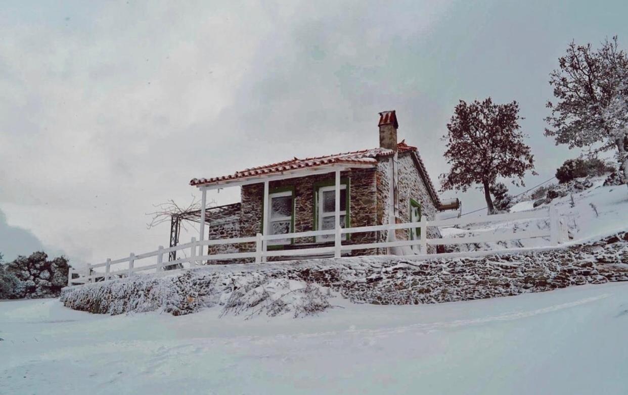 Toumba Eco Farm Guesthouses Plomari ภายนอก รูปภาพ