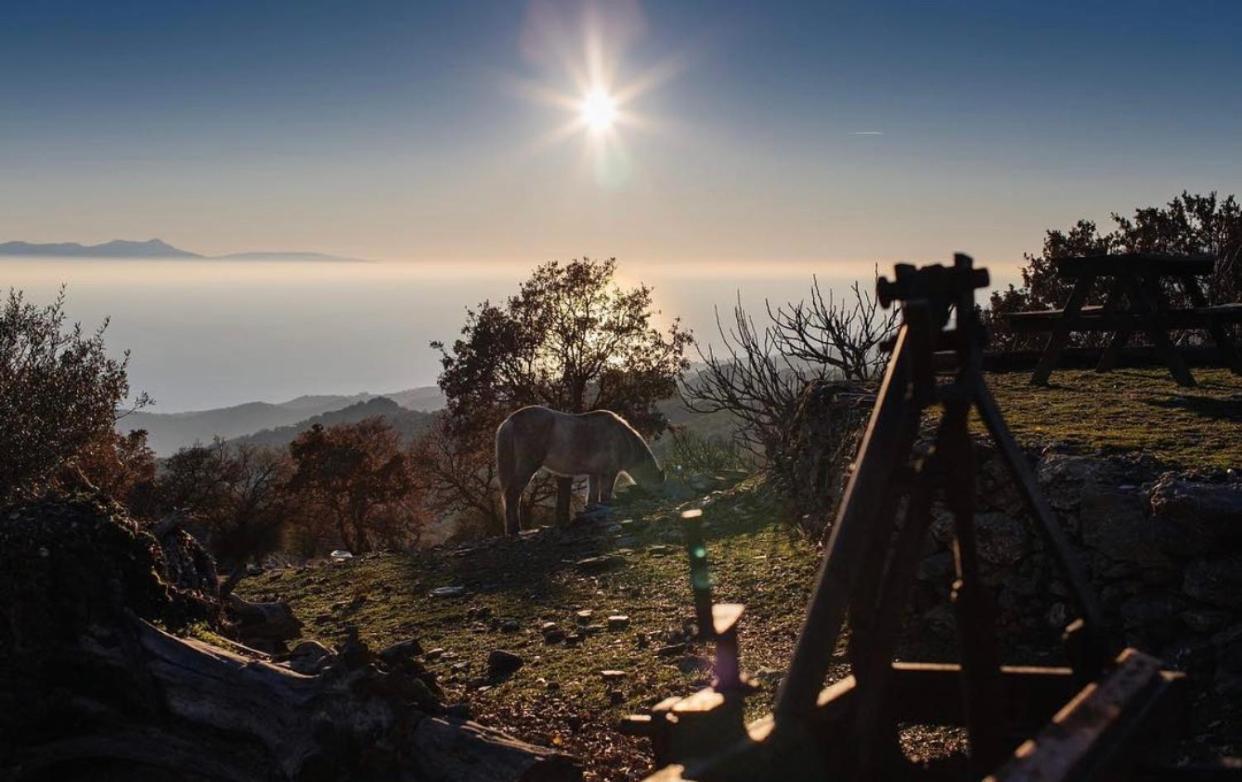 Toumba Eco Farm Guesthouses Plomari ภายนอก รูปภาพ