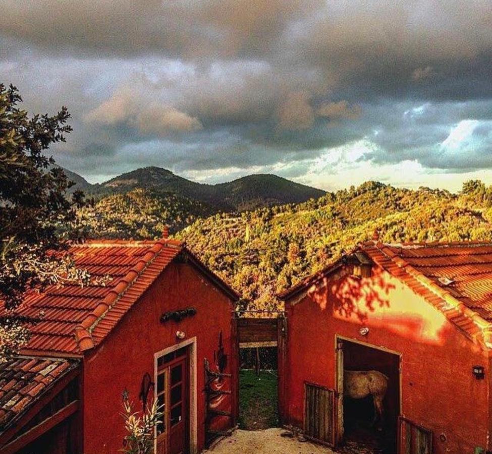 Toumba Eco Farm Guesthouses Plomari ภายนอก รูปภาพ