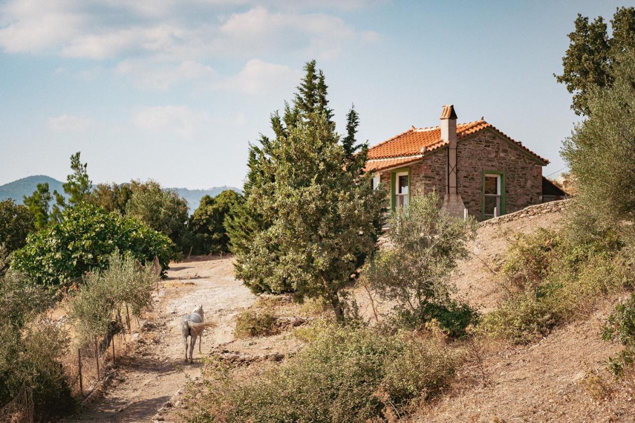 Toumba Eco Farm Guesthouses Plomari ภายนอก รูปภาพ