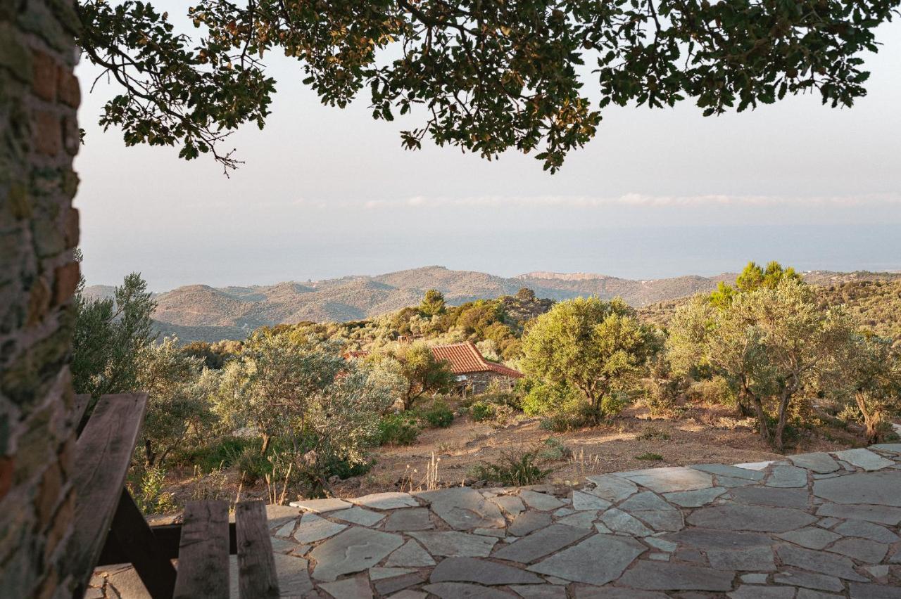 Toumba Eco Farm Guesthouses Plomari ภายนอก รูปภาพ