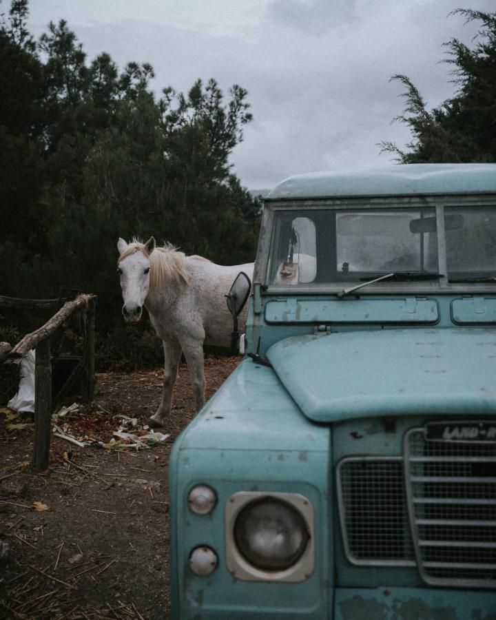 Toumba Eco Farm Guesthouses Plomari ภายนอก รูปภาพ